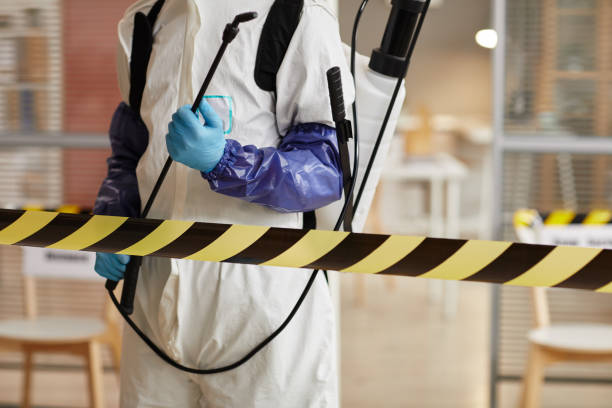 Professional Sewage Cleanup technician working in Manhasset, NY